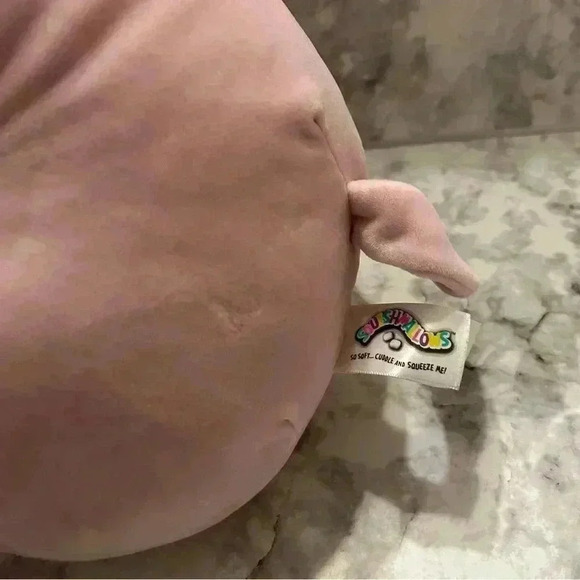 Squishmallow 9” Paulina the Pink Cat Plush - Picture 3 of 5